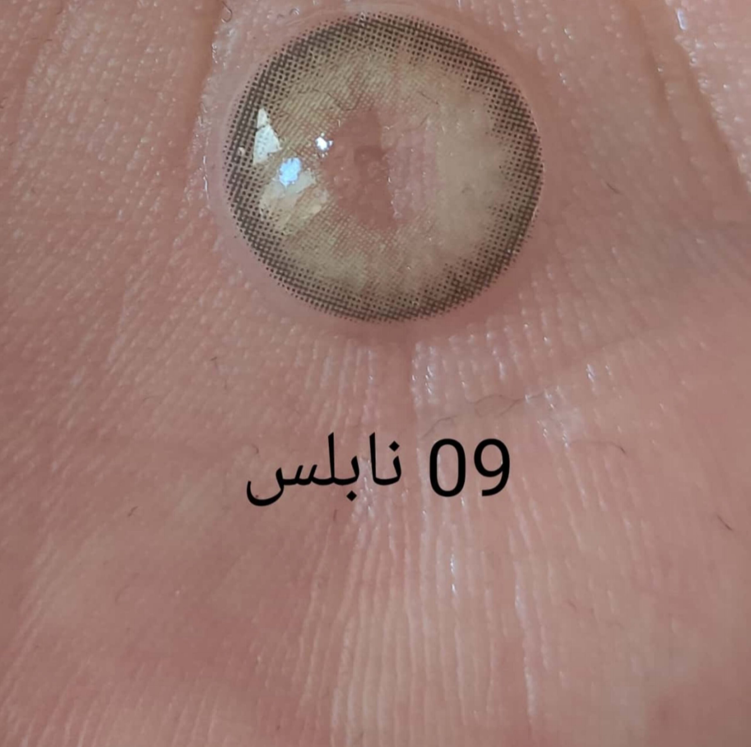 لنز رنگی فصلی نابلس Noblesse سری خاکستری