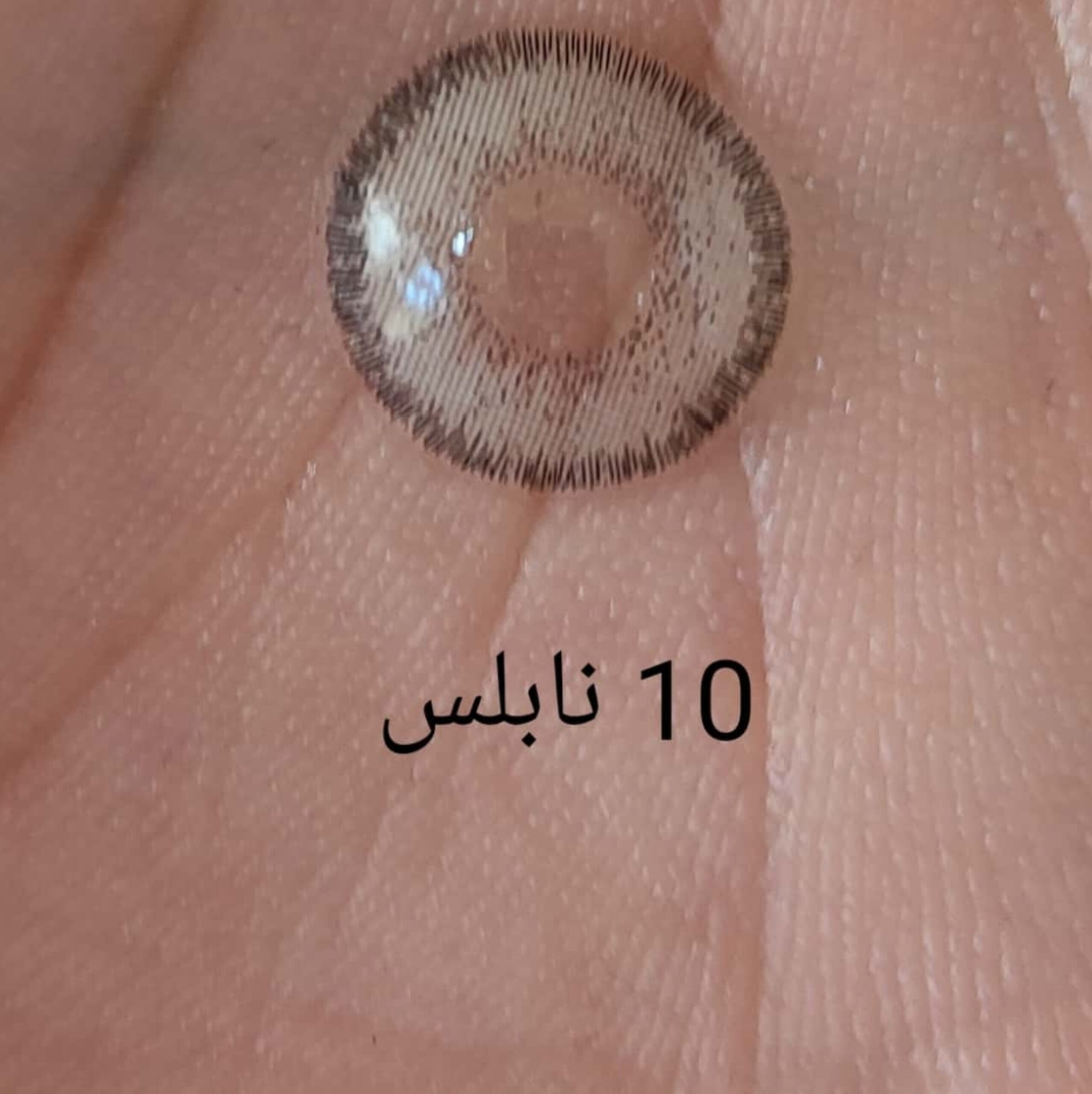 لنز رنگی فصلی نابلس Noblesse سری خاکستری