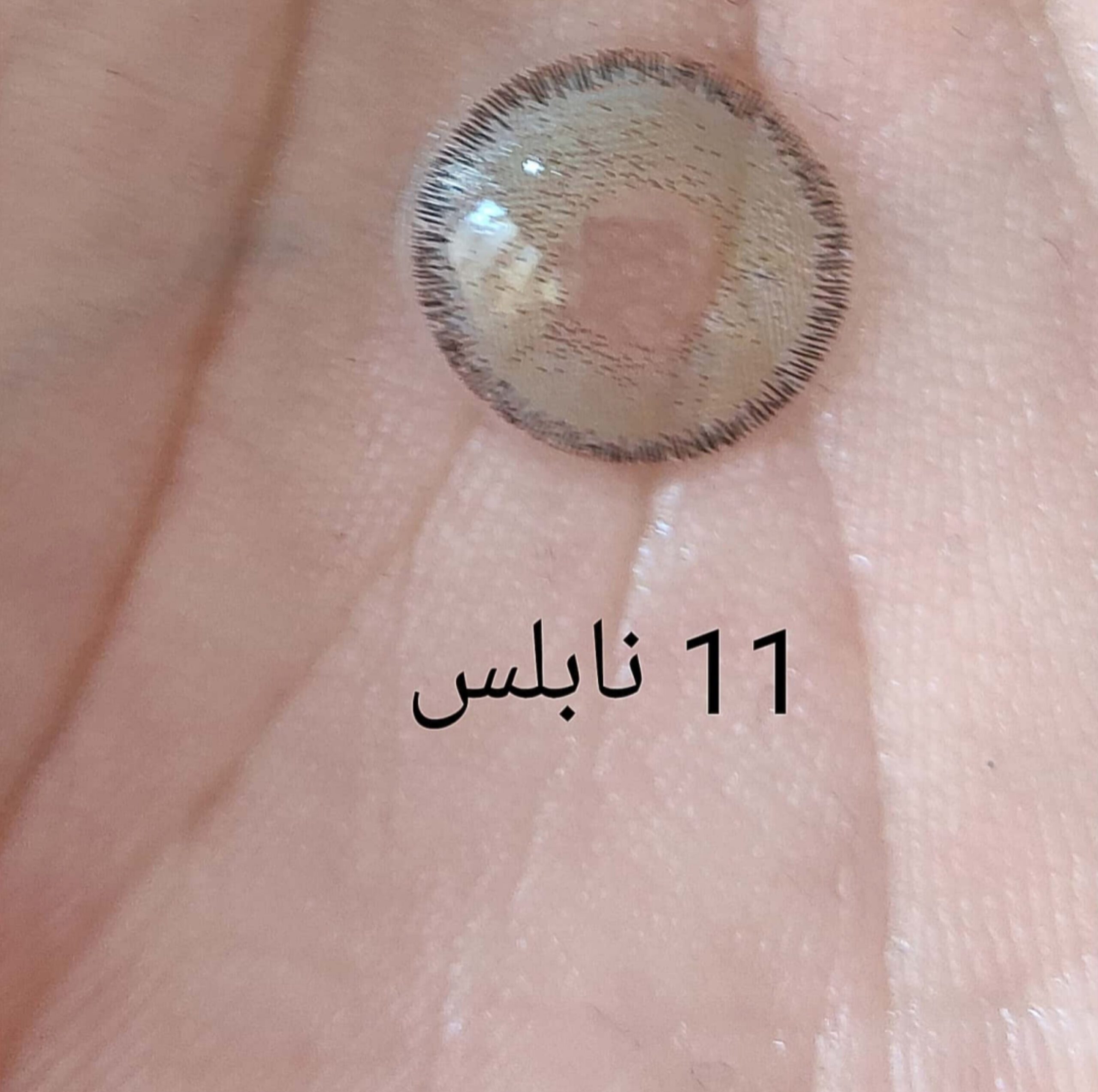 لنز رنگی فصلی نابلس Noblesse سری خاکستری