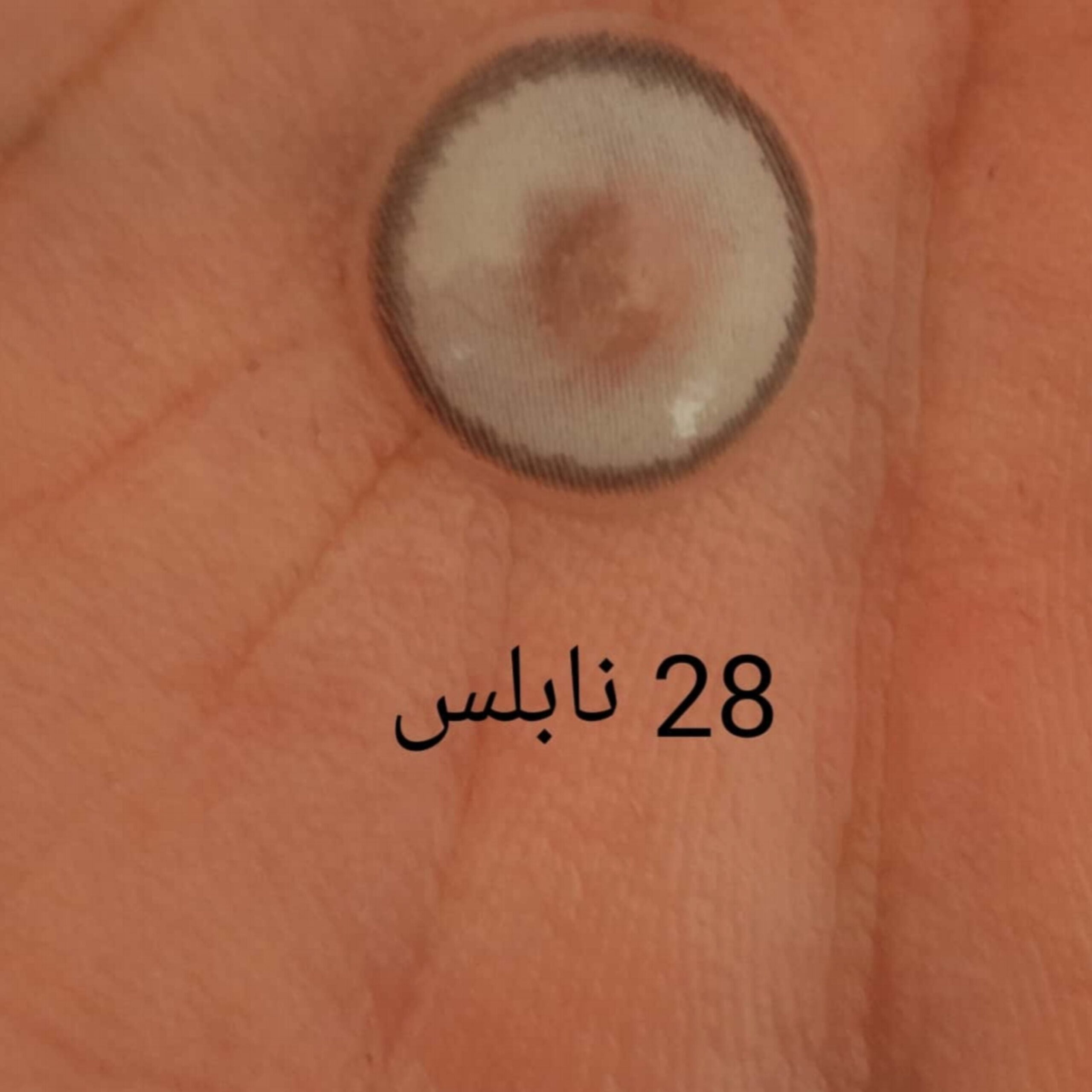 لنز رنگی فصلی نابلس Noblesse سری آبی