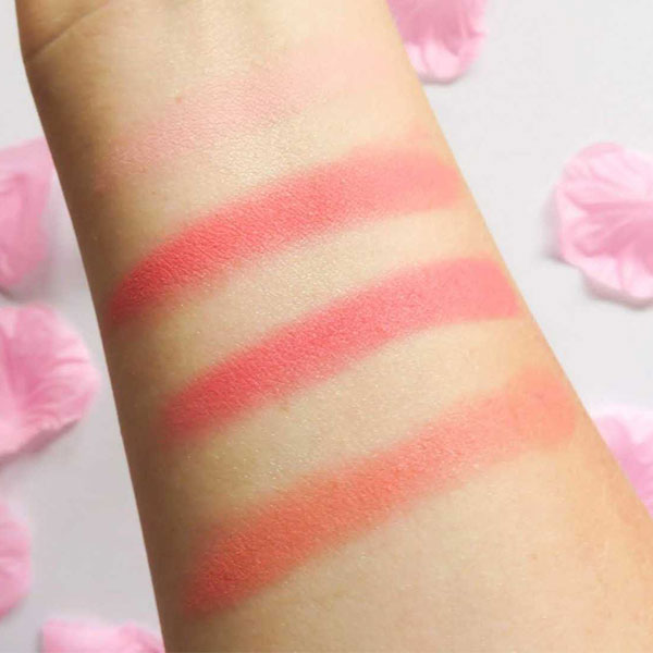پالت رژگونه تکنیک مدل Matte Mega